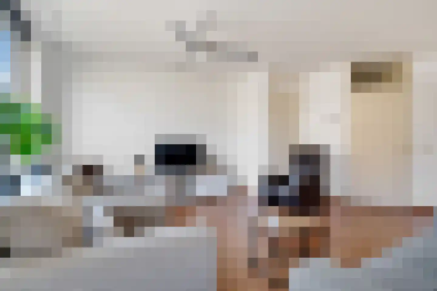 Zwaluwtong 5 Nijverdal thumbnail 5