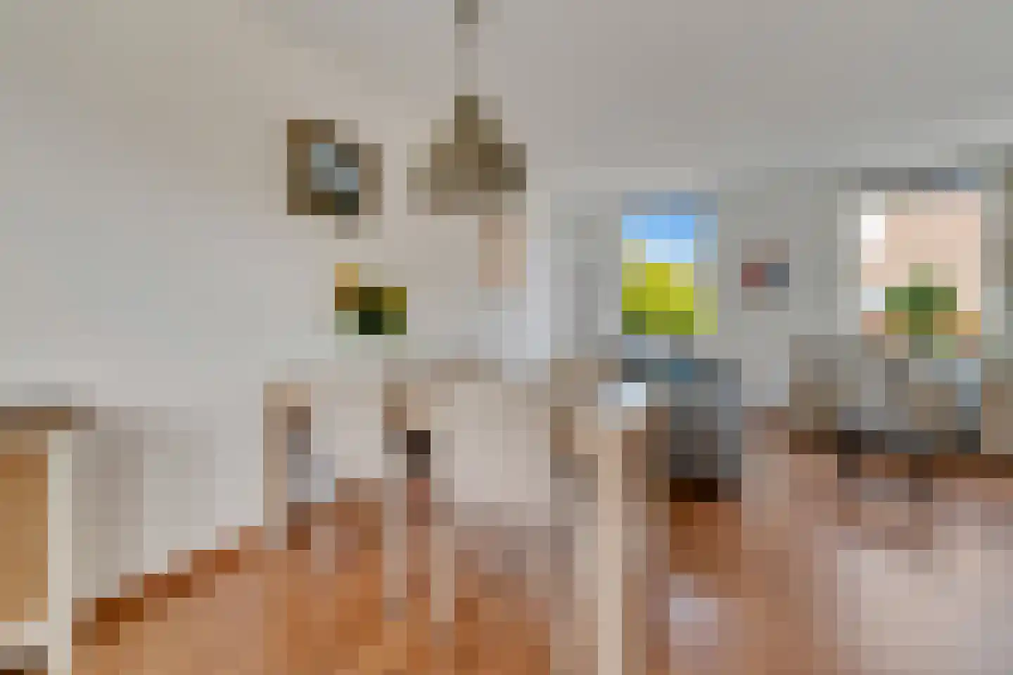 Zwaluwtong 5 Nijverdal thumbnail 8