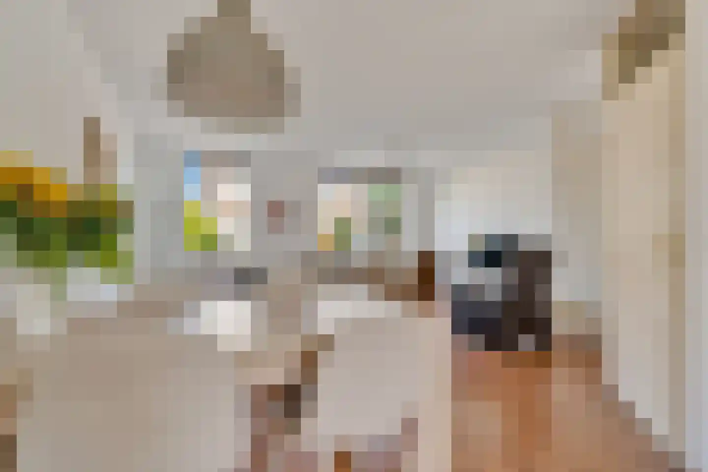 Zwaluwtong 5 Nijverdal thumbnail 9