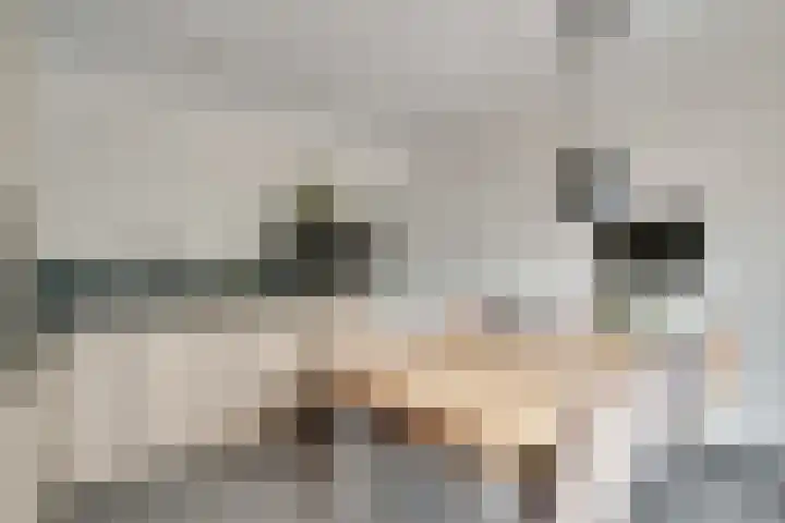 Zwaluwtong 6 Nijverdal thumbnail 10