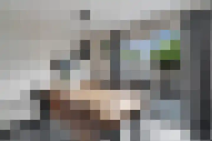 Zwaluwtong 6 Nijverdal thumbnail 11