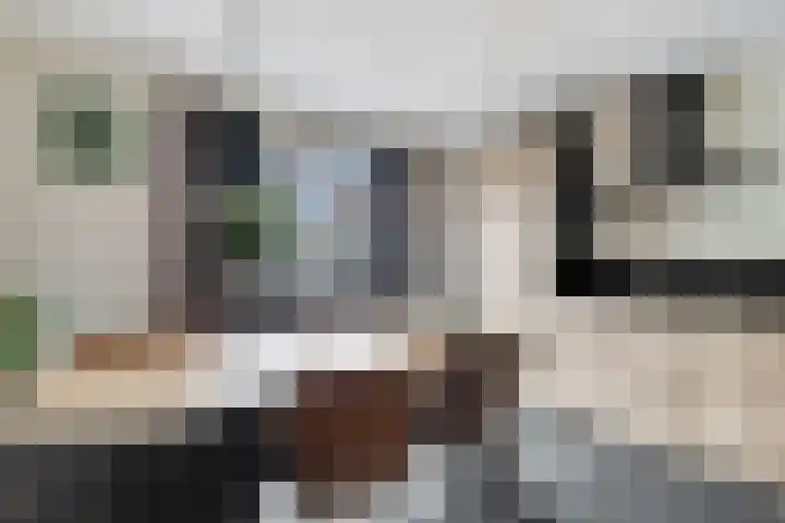 Zwaluwtong 6 Nijverdal thumbnail 12