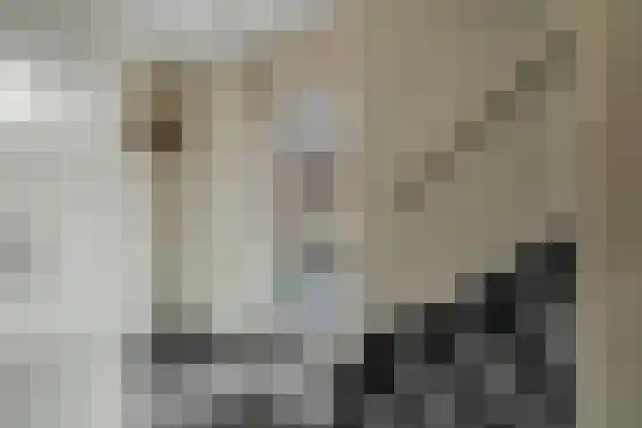 Zwaluwtong 6 Nijverdal thumbnail 15