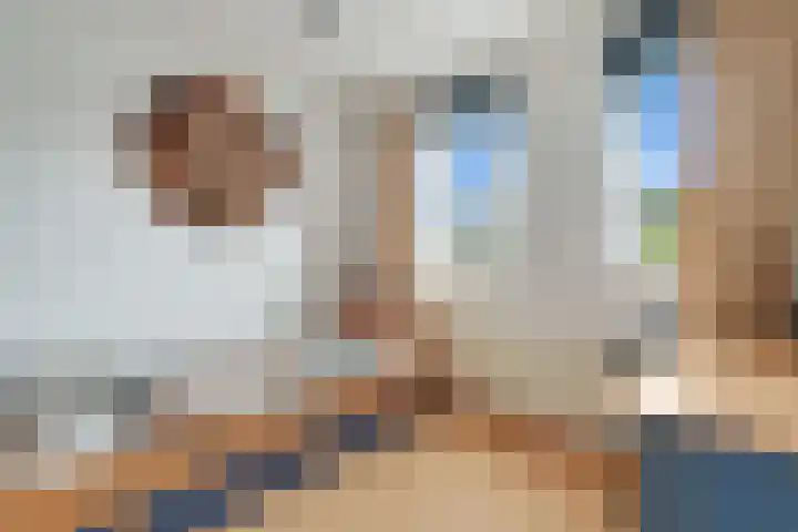 Zwaluwtong 6 Nijverdal thumbnail 20