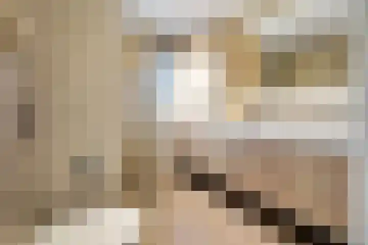 Zwaluwtong 6 Nijverdal thumbnail 22