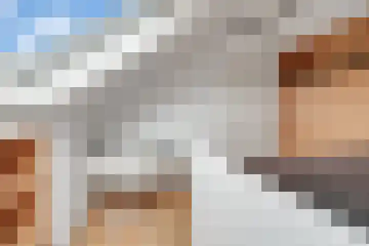 Zwaluwtong 6 Nijverdal thumbnail 26