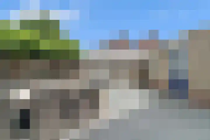 Zwaluwtong 6 Nijverdal thumbnail 30