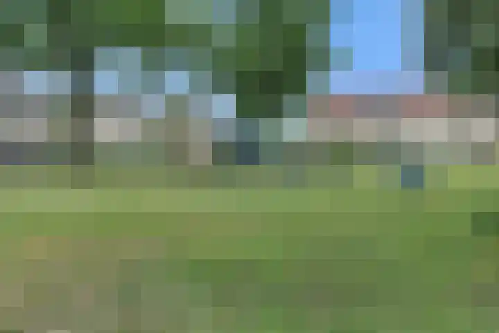 Zwaluwtong 6 Nijverdal thumbnail 33