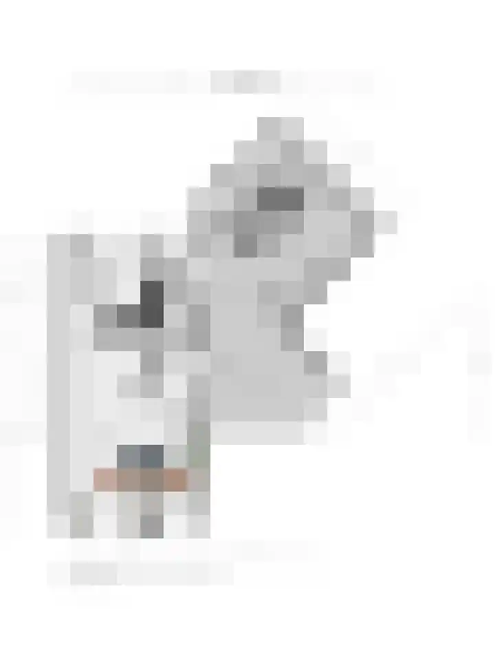 Zwaluwtong 6 Nijverdal thumbnail 36