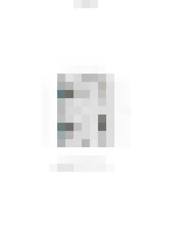 Zwaluwtong 6 Nijverdal thumbnail 37