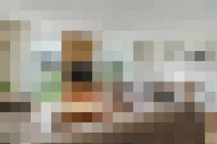 Zwaluwtong 6 Nijverdal thumbnail 5