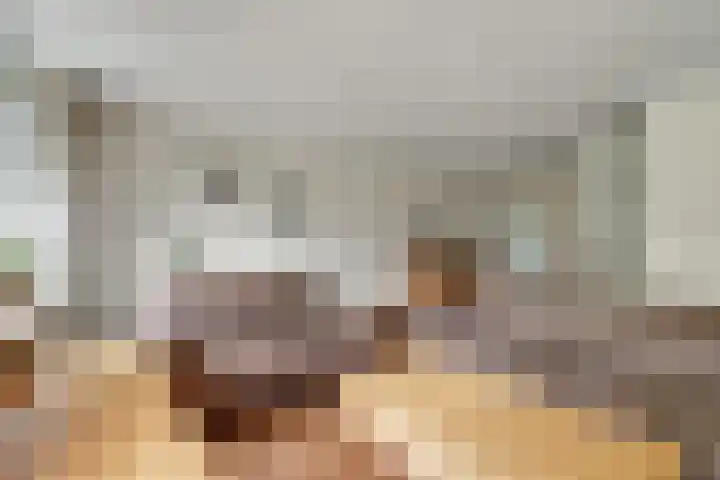 Zwaluwtong 6 Nijverdal thumbnail 9