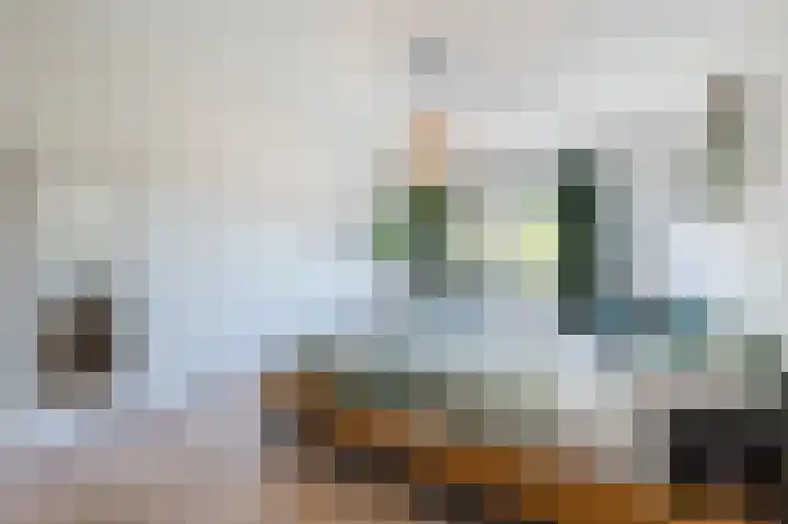 Zwaluwweg 125 Voorschoten thumbnail 15