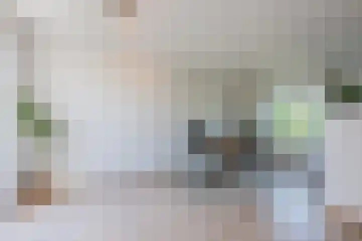 Zwaluwweg 125 Voorschoten thumbnail 24