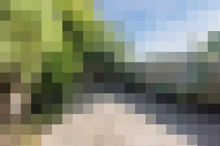 Zwaluwweg 125 Voorschoten thumbnail 29