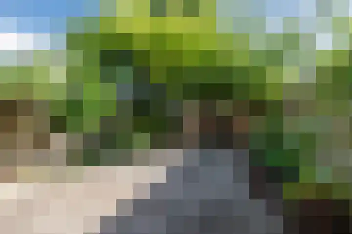 Zwaluwweg 125 Voorschoten thumbnail 30