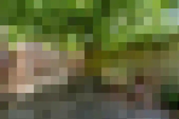 Zwaluwweg 125 Voorschoten thumbnail 32