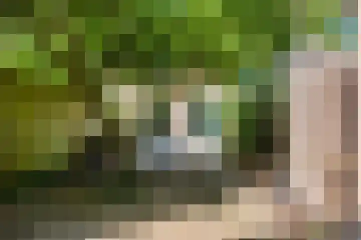 Zwaluwweg 125 Voorschoten thumbnail 33