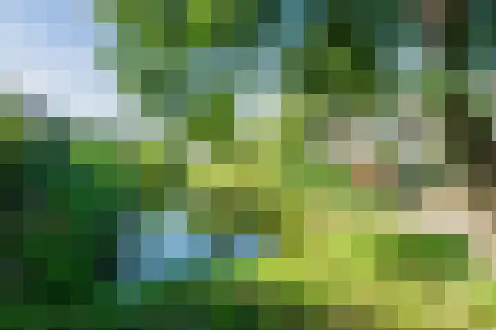 Zwaluwweg 125 Voorschoten thumbnail 34