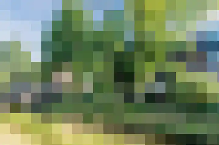 Zwaluwweg 125 Voorschoten thumbnail 35