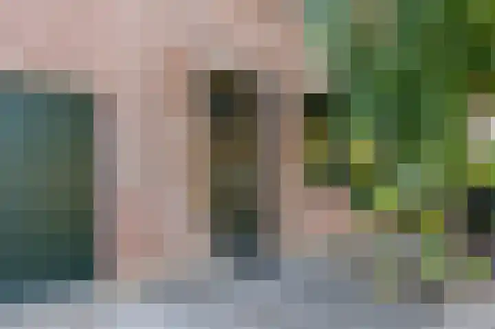 Zwaluwweg 125 Voorschoten thumbnail 4