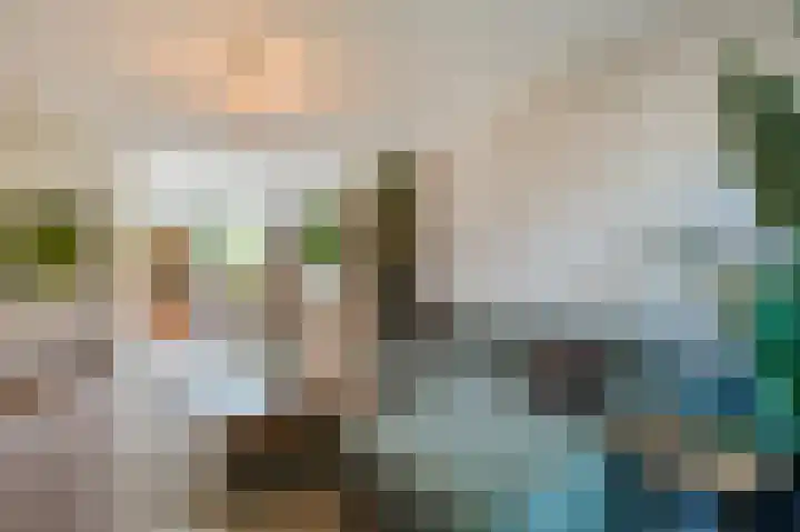 Zwaluwweg 125 Voorschoten thumbnail 7