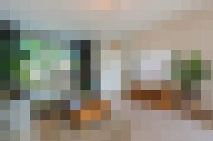 Zwaluwweg 125 Voorschoten thumbnail 9