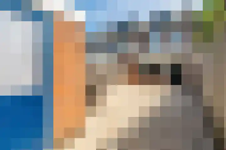Zwaluwweg 30 Voorschoten thumbnail 16