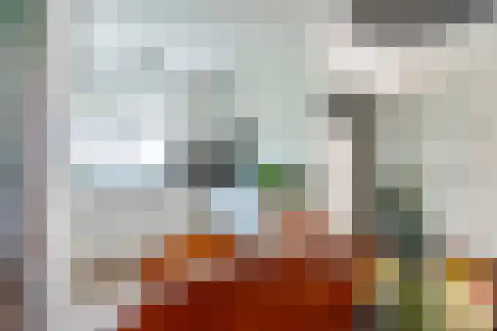 Zwaluwweg 30 Voorschoten thumbnail 17
