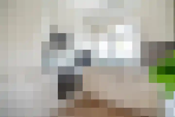 Zwaluwweg 30 Voorschoten thumbnail 18