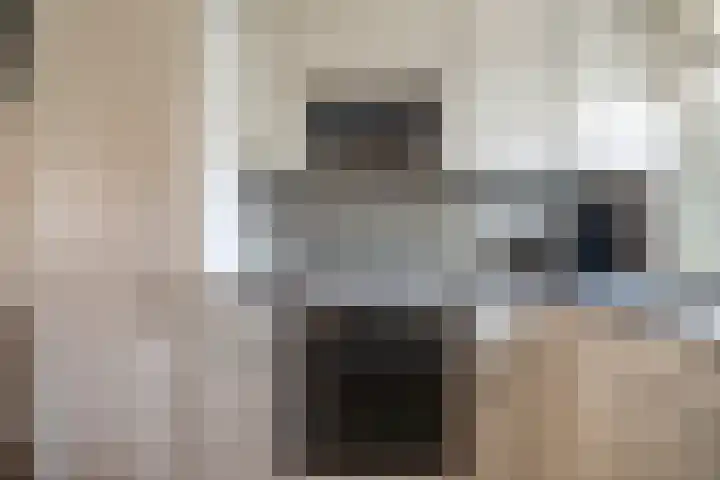 Zwaluwweg 30 Voorschoten thumbnail 20