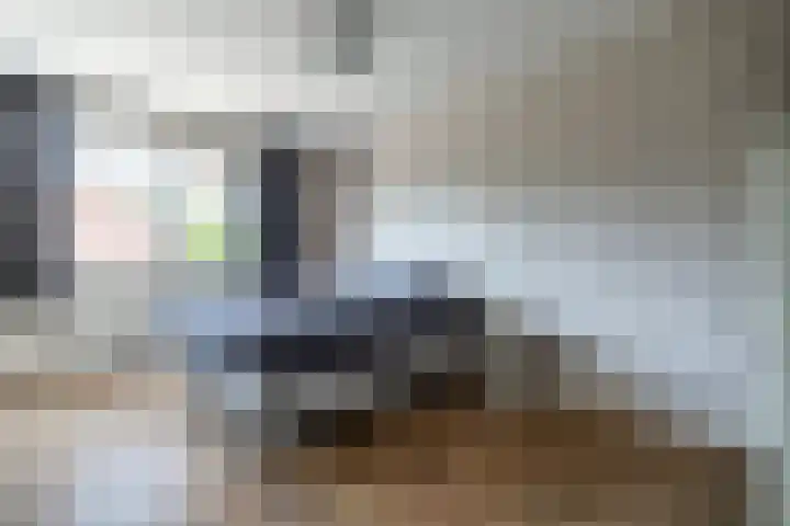Zwaluwweg 30 Voorschoten thumbnail 28
