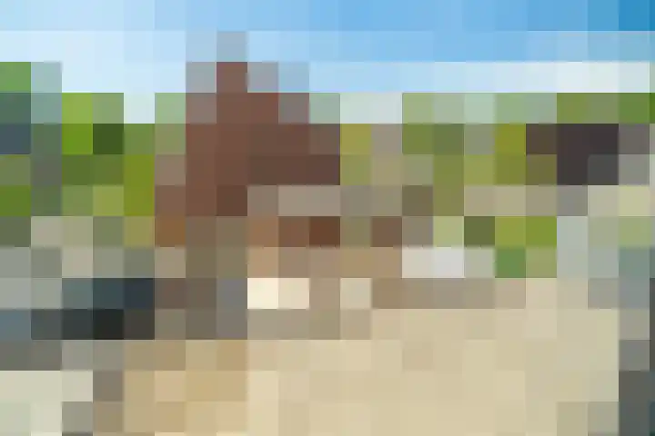 Zwaluwweg 30 Voorschoten thumbnail 30