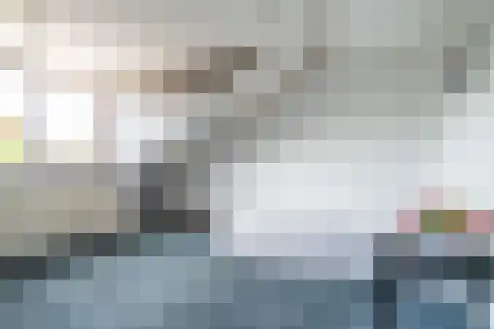 Zwaluwweg 30 Voorschoten thumbnail 34