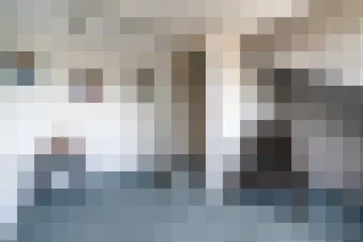 Zwaluwweg 30 Voorschoten thumbnail 37