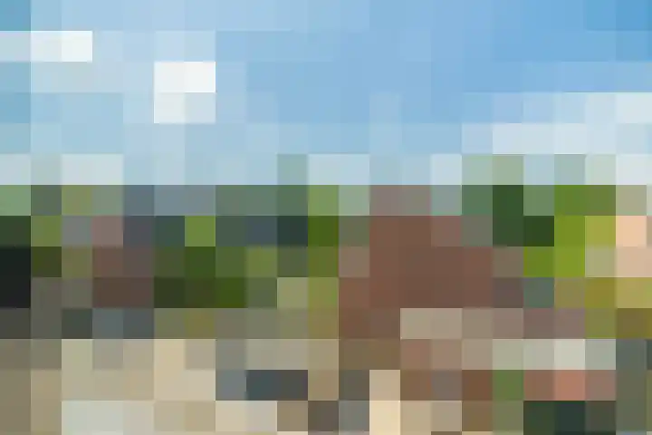 Zwaluwweg 30 Voorschoten thumbnail 40