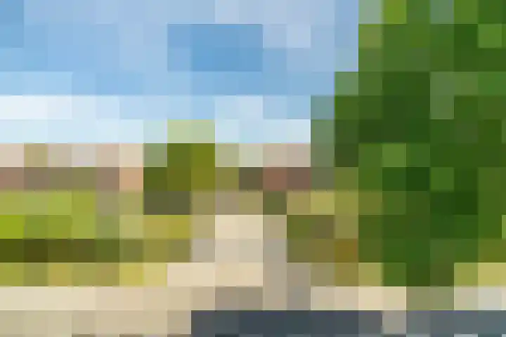 Zwaluwweg 30 Voorschoten thumbnail 41