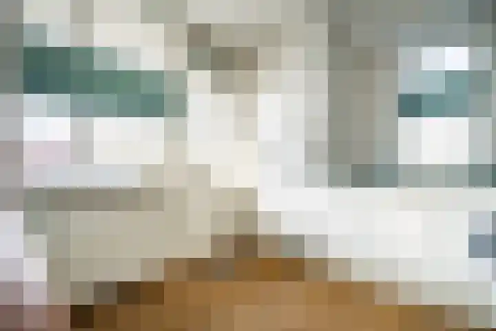 Zwaluwweg 49 Voorschoten thumbnail 11
