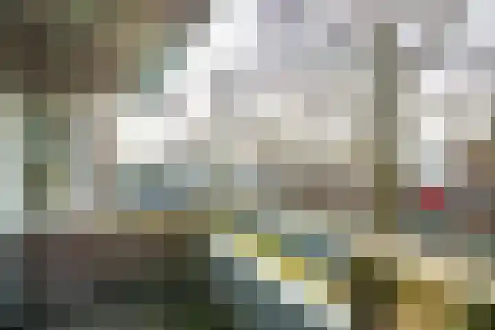 Zwaluwweg 49 Voorschoten thumbnail 16