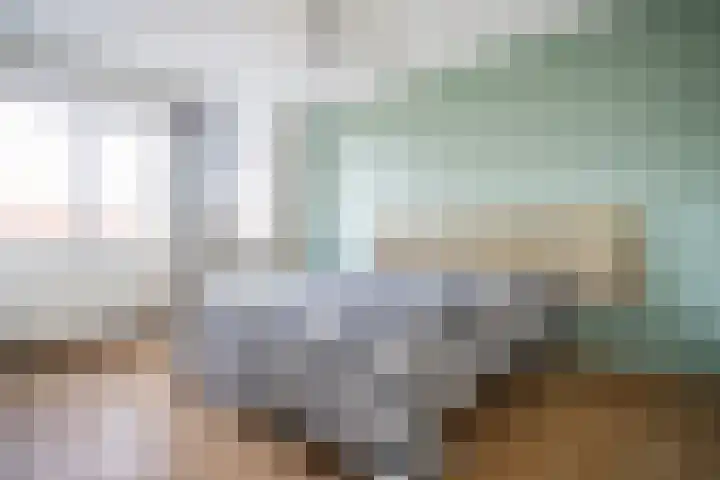 Zwaluwweg 49 Voorschoten thumbnail 29