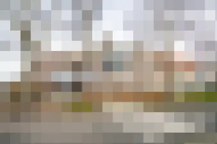 Zwaluwweg 49 Voorschoten thumbnail 37