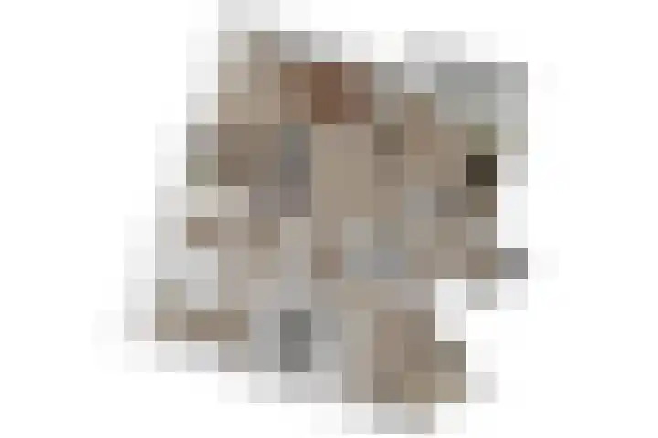 Zwaluwweg 49 Voorschoten thumbnail 38