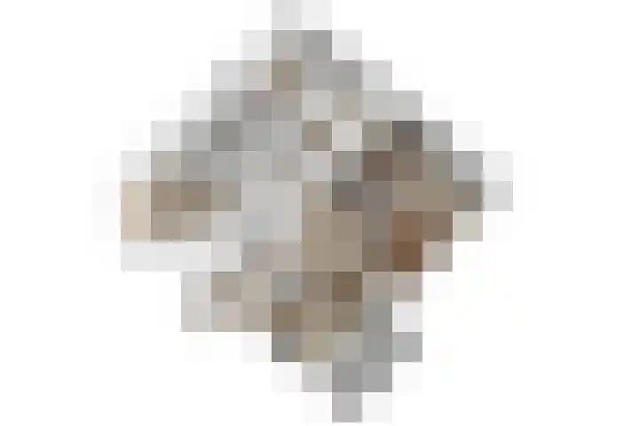 Zwaluwweg 49 Voorschoten thumbnail 39