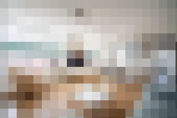 Zwaluwweg 49 Voorschoten thumbnail 6