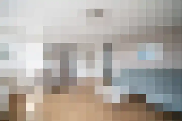 Zwaluwweg 49 Voorschoten thumbnail 8