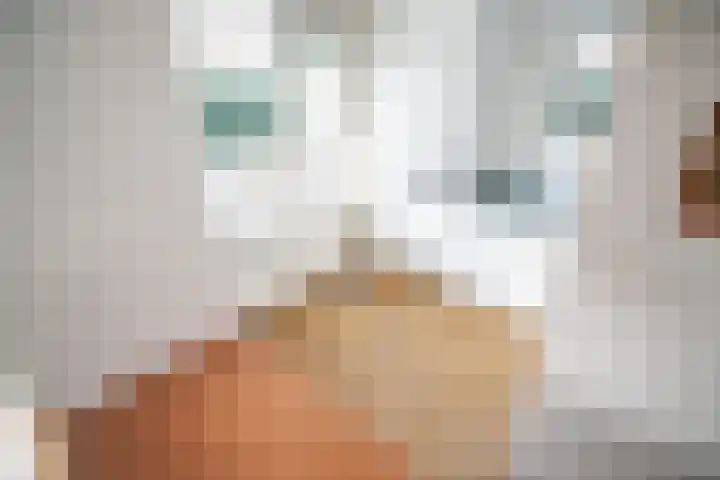 Zwaluwweg 49 Voorschoten thumbnail 9