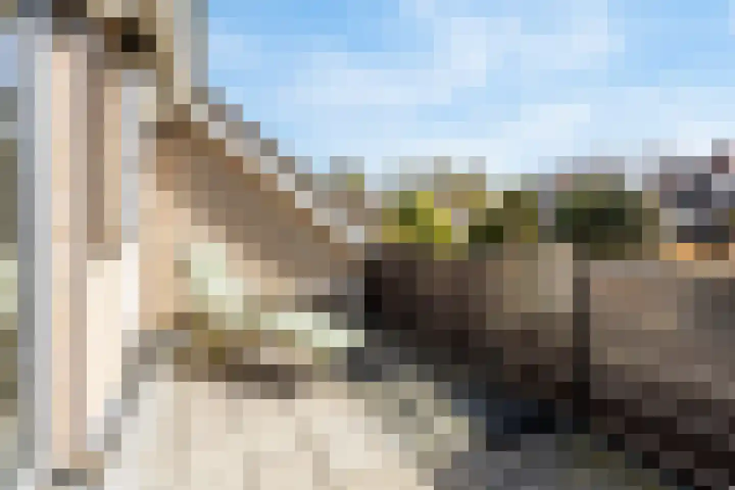 Zwaluwweg 62 Voorschoten thumbnail 32