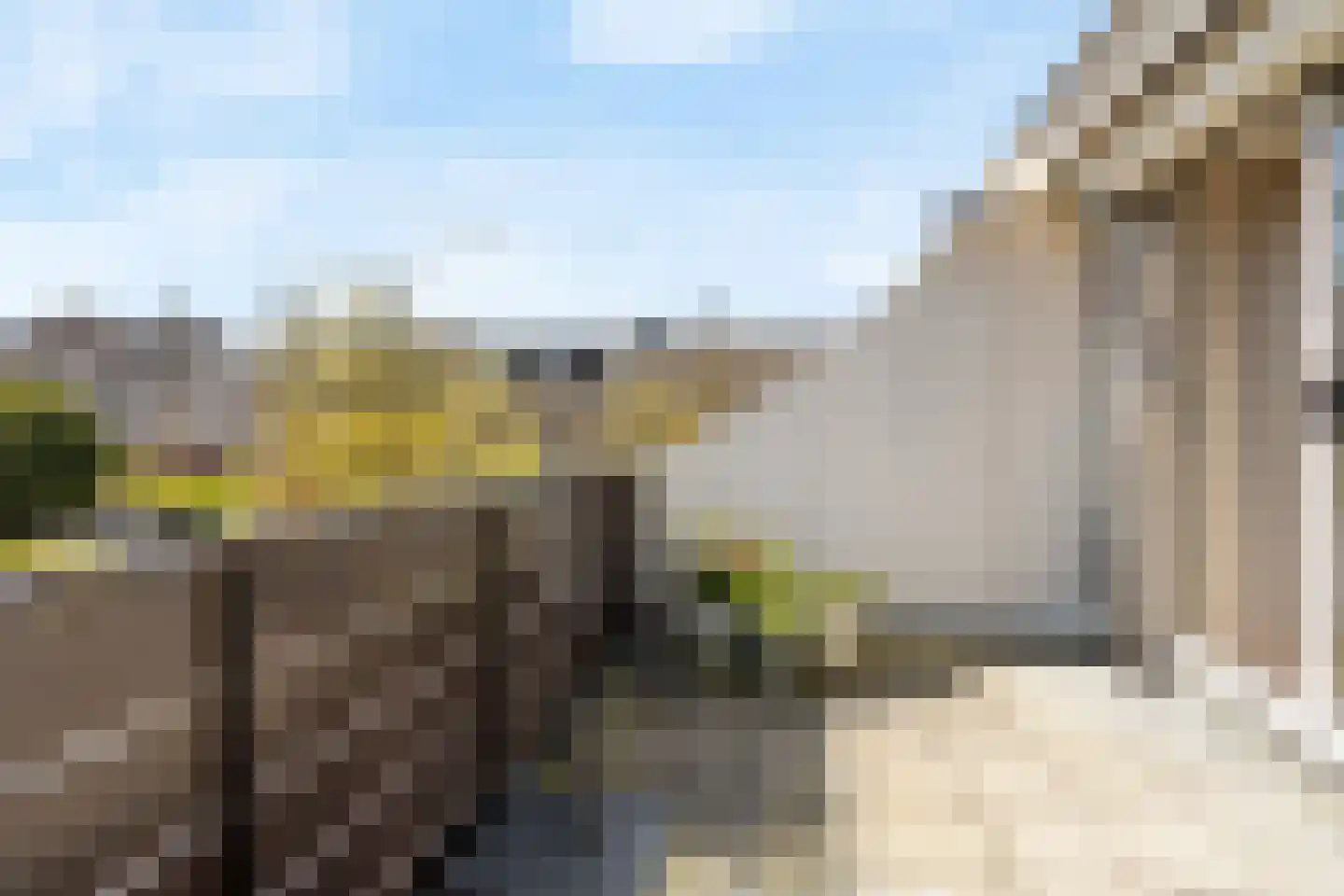 Zwaluwweg 62 Voorschoten thumbnail 33