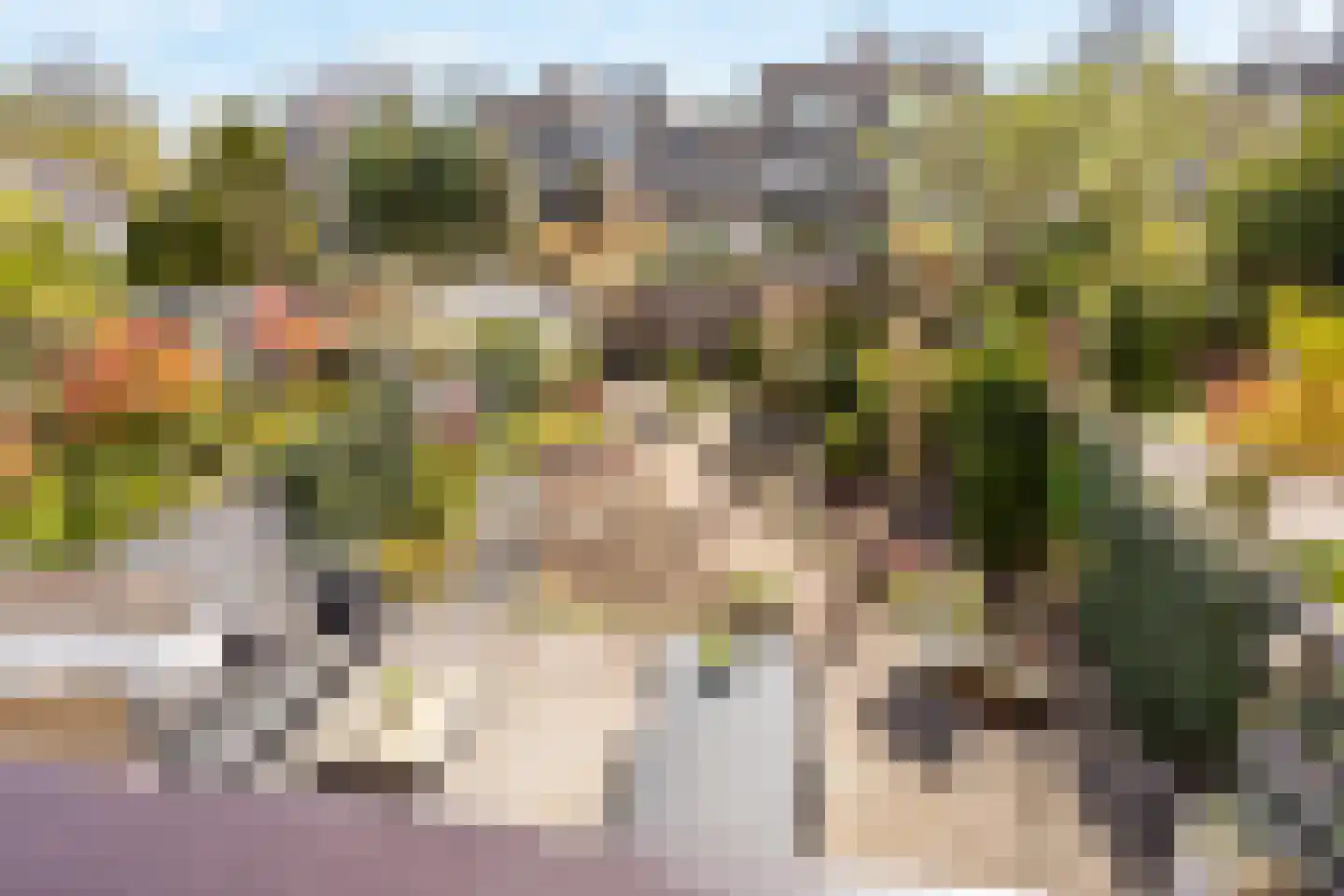 Zwaluwweg 62 Voorschoten thumbnail 34