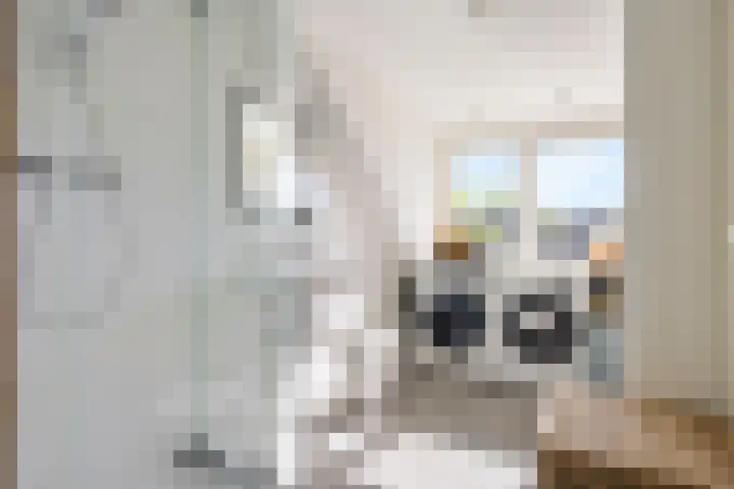 Zwaluwweg 62 Voorschoten thumbnail 46